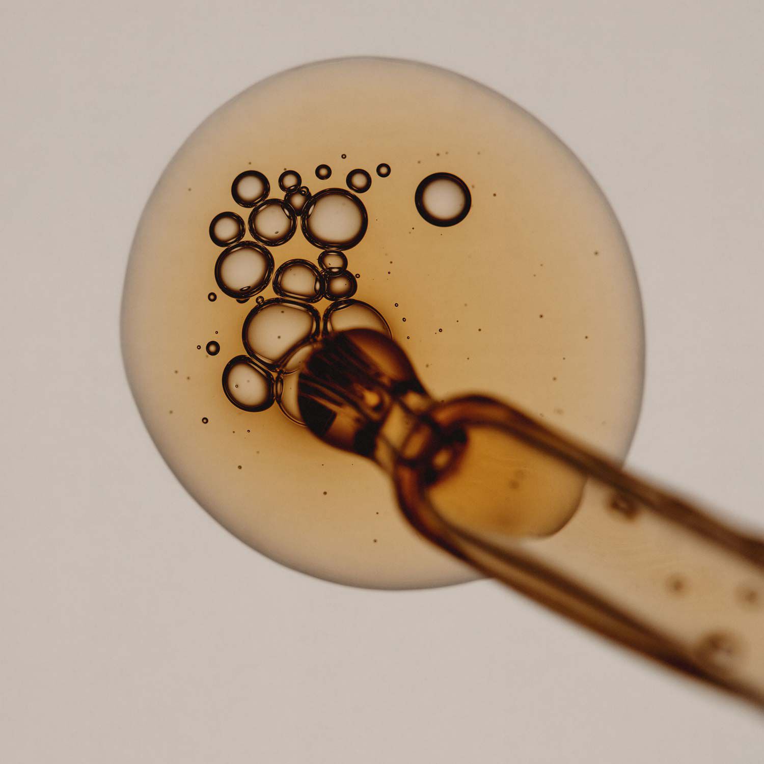 香芹籽抗氧化高效精華