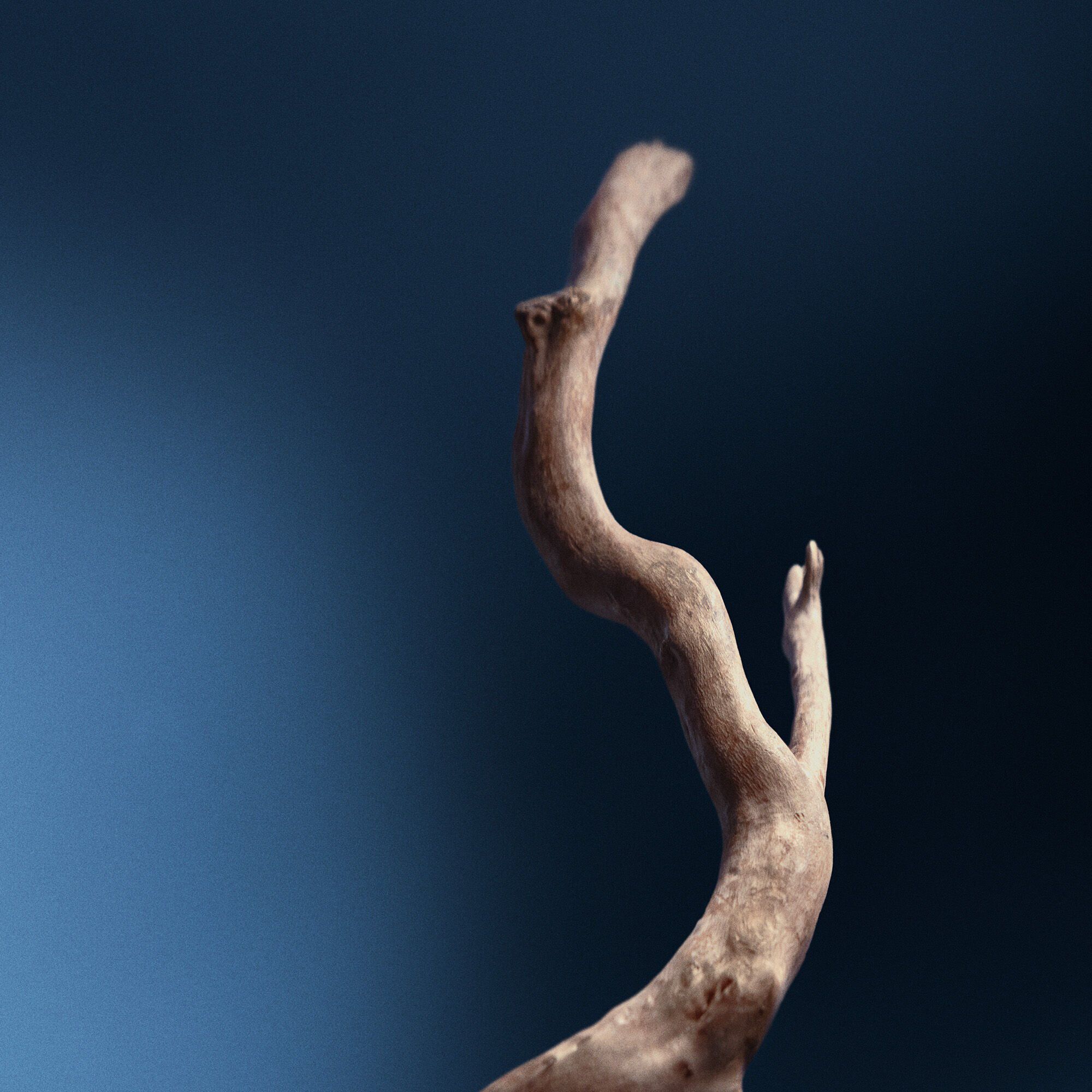 時韌煥肌精粹油