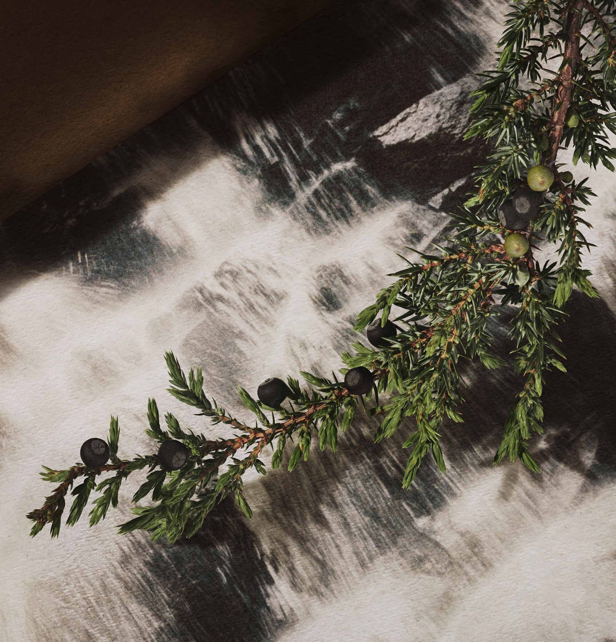 永岩香水