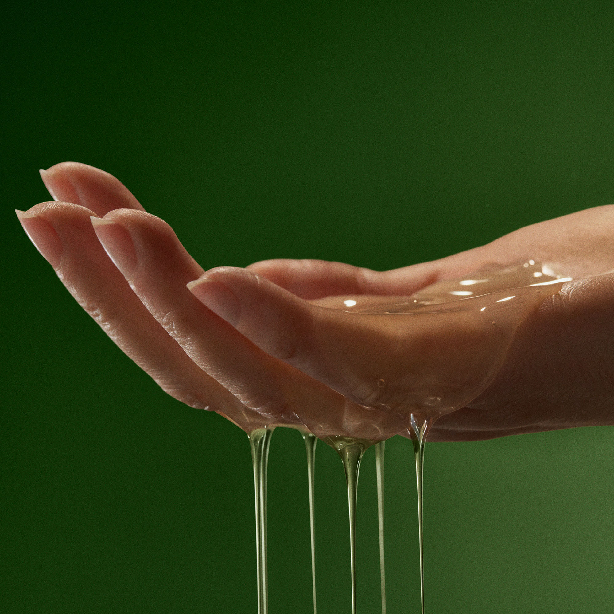 天竺葵身體二重奏