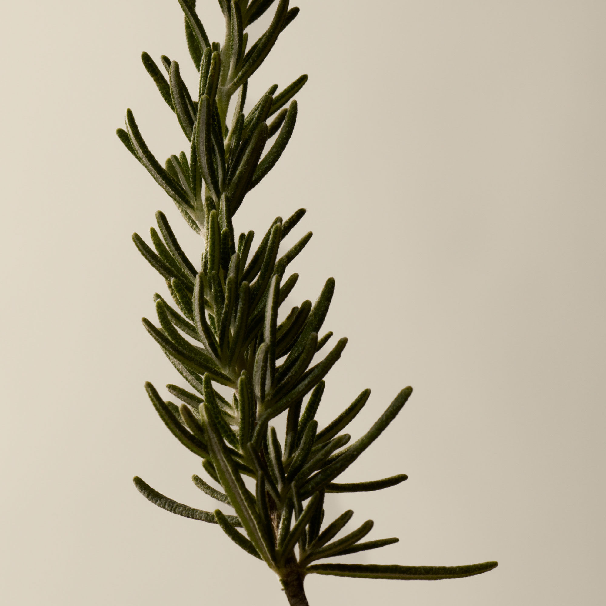 賦活芳香手護組