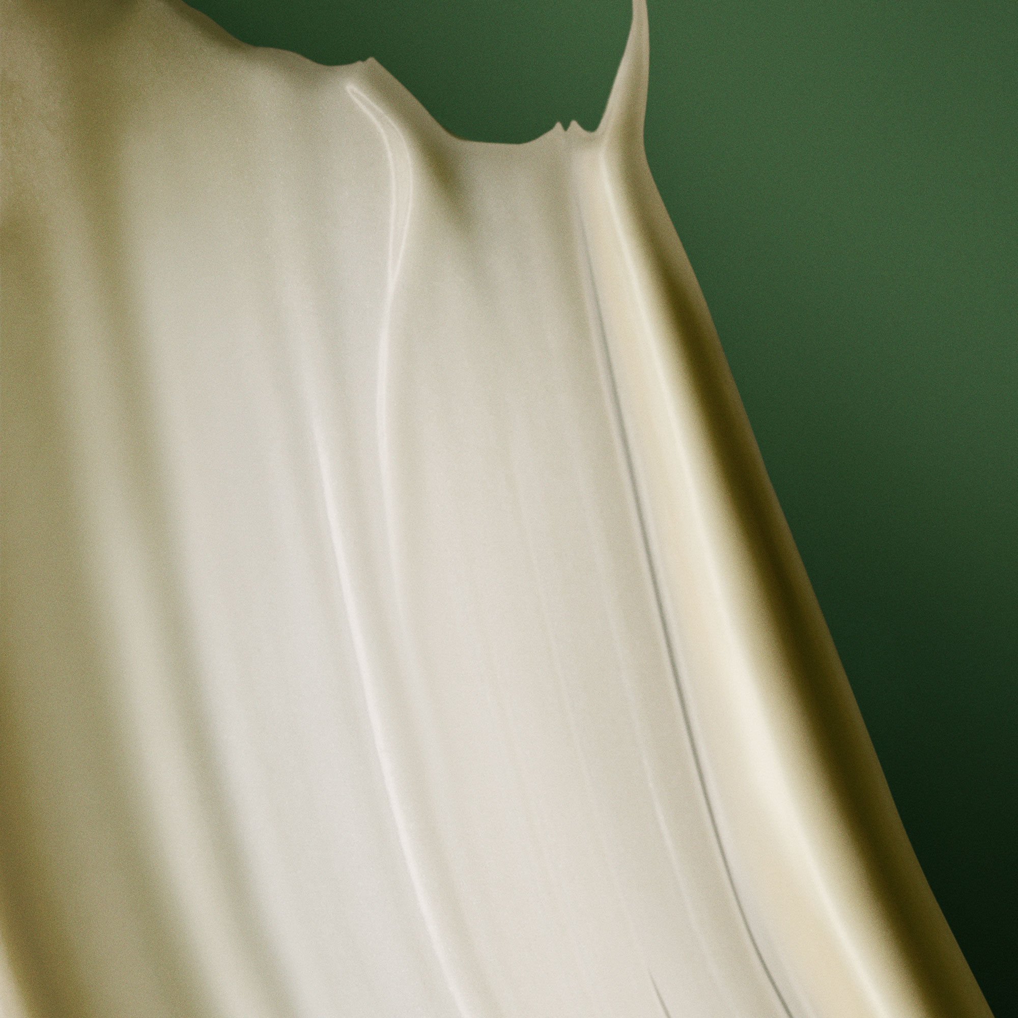 天竺葵身體二重奏