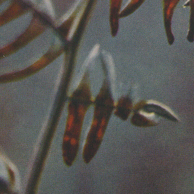 Aesop 踐行永續發展理念