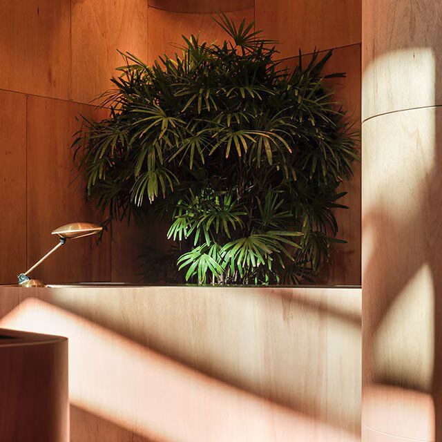 Second Image on Carousel