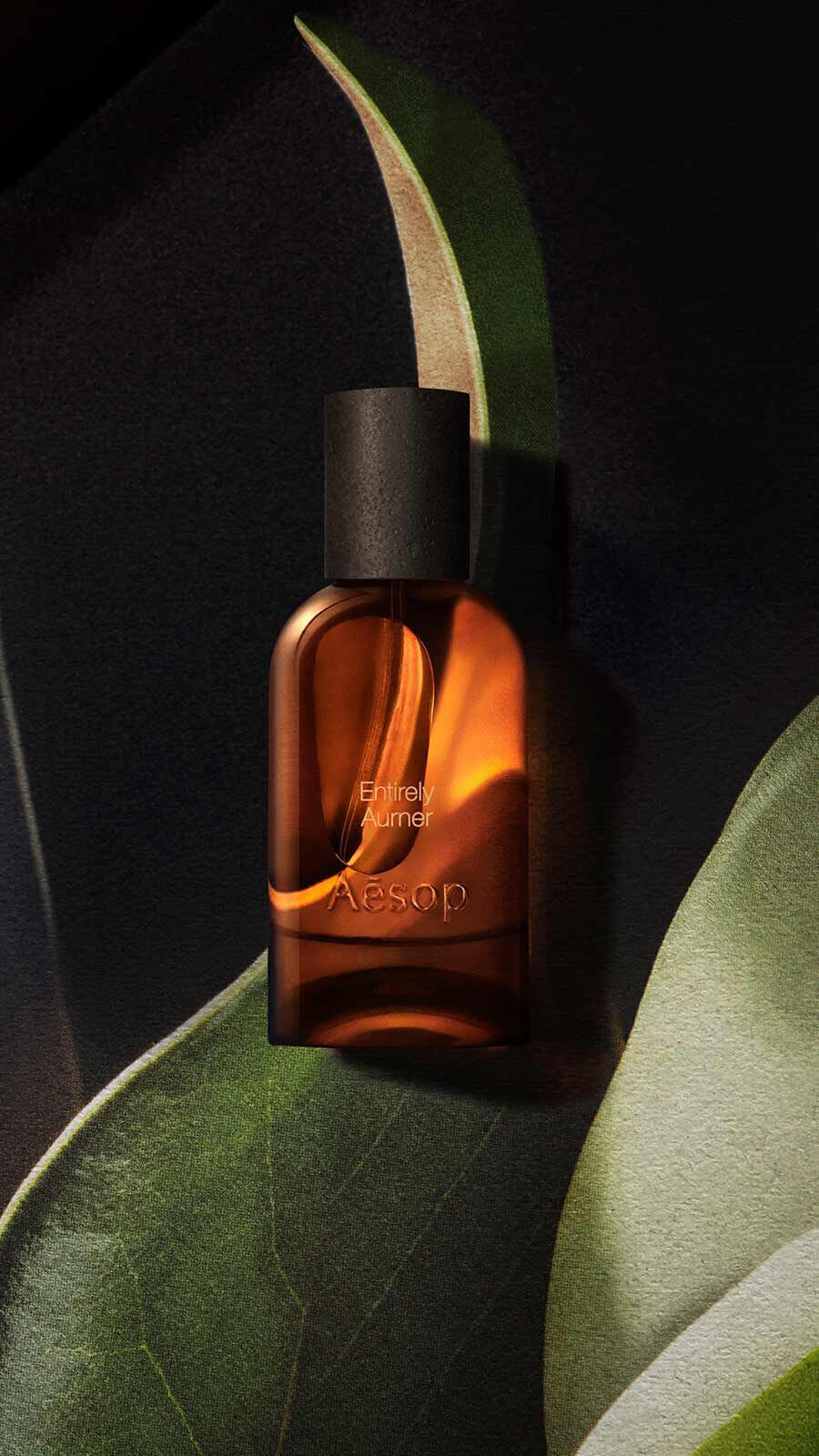 Aesop Entirely, Aurner Eau de Parfum bottle with black cap resting among large dark green tropical leaves.