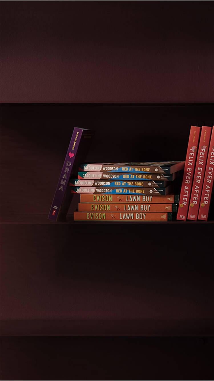 Small row of colourful books on a dark maroon shelf beside ribbed columns.