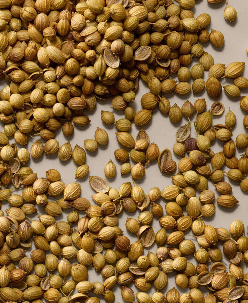 Spicy, Woody, Warm Image