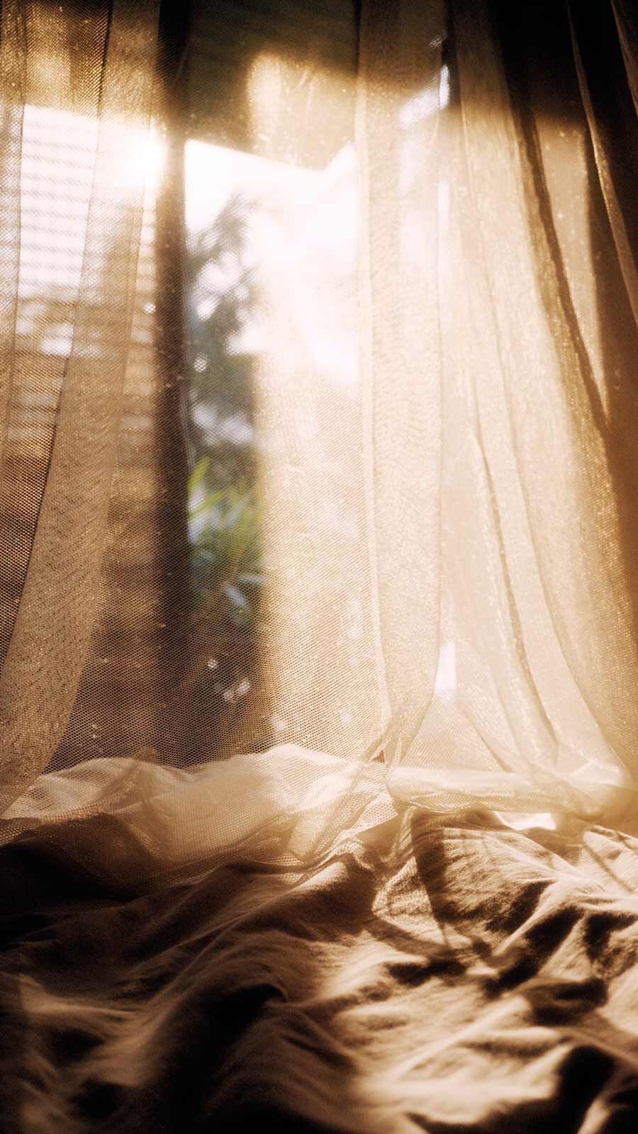 Sheer lace curtain billowing in warm golden sunlight by an open window.