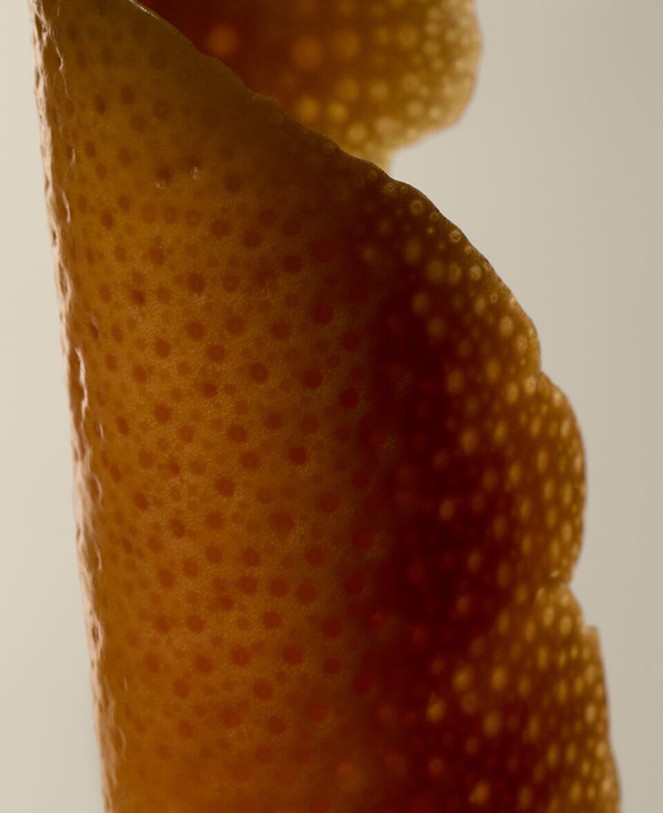 Citrus, Woody, Herbaceous Image