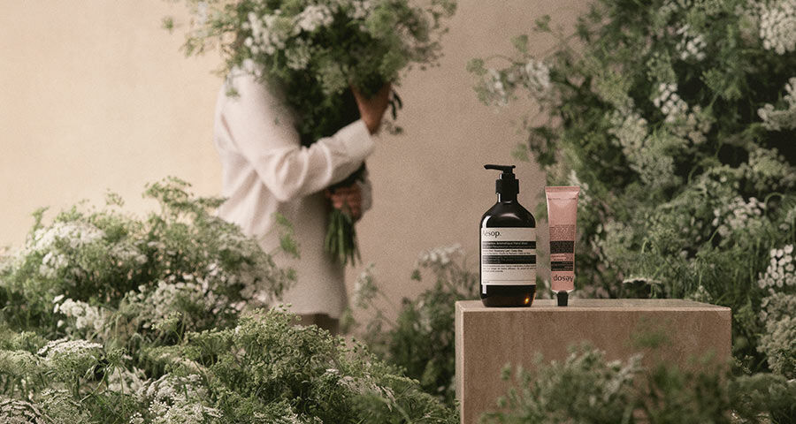 Aesop Category Top Banner