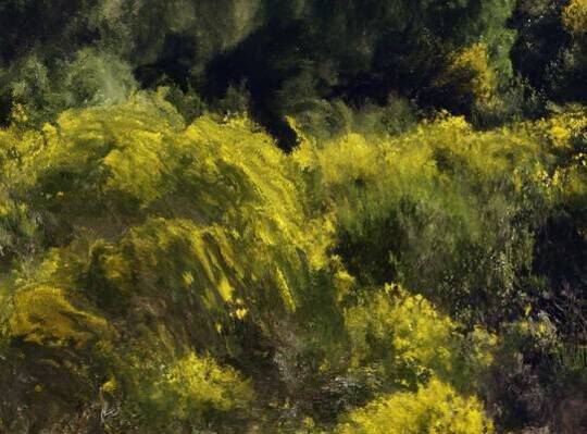 Othertopias on a plate Image