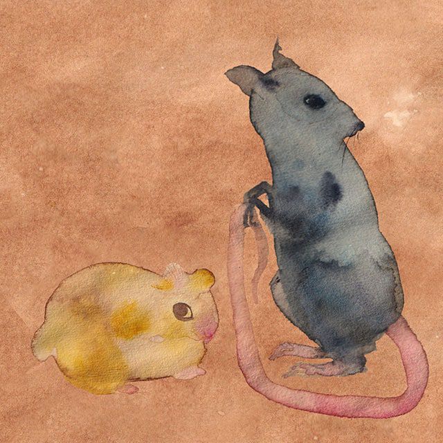 The Rat and the Hamster