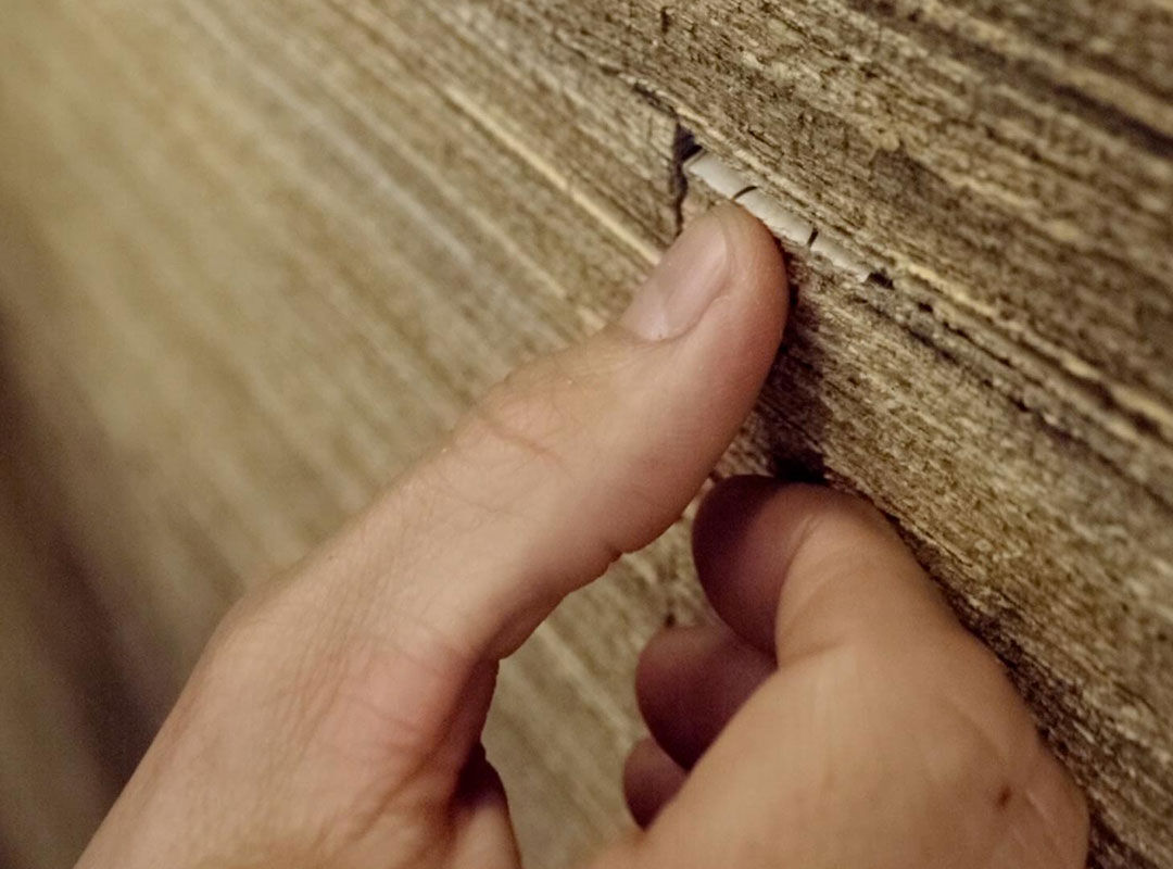 An introduction to skin types Image