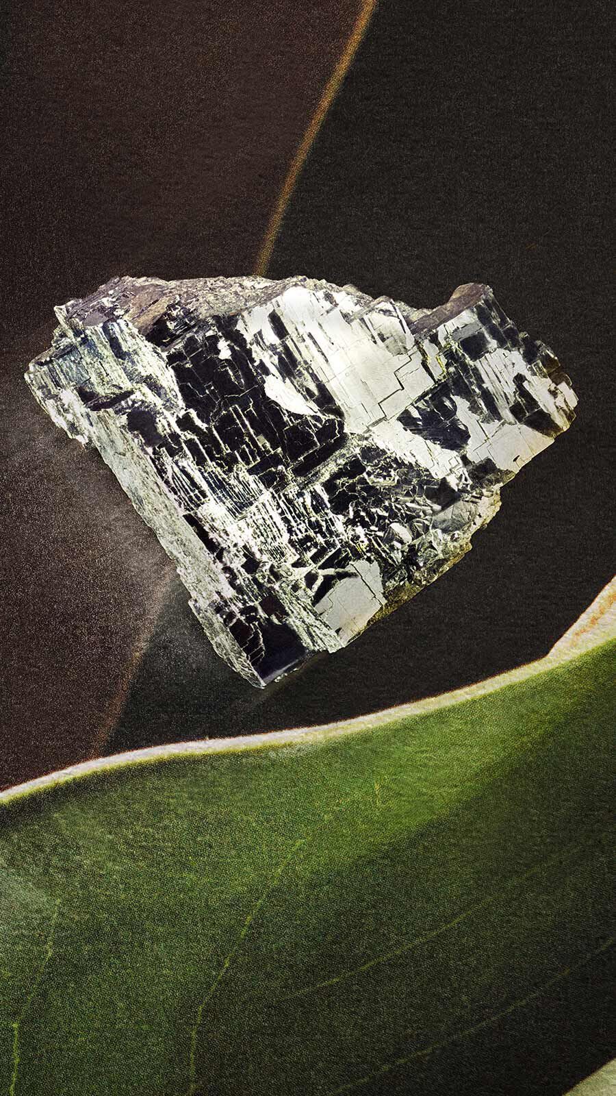 Dark metallic mineral crystal fragment on a dark surface with a green leaf edge in the foreground.