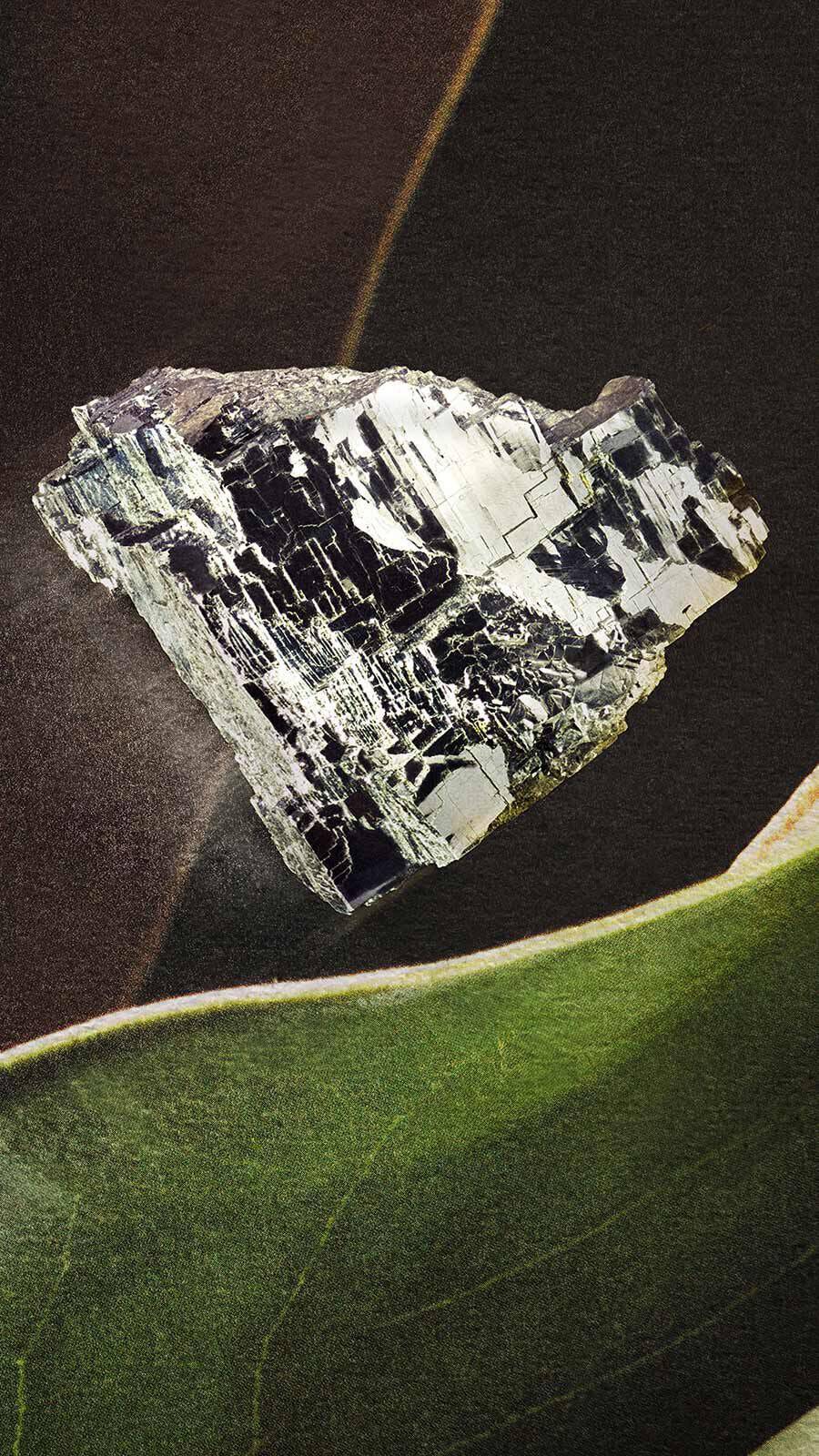 Dark metallic mineral crystal fragment on a dark surface with a green leaf edge in the foreground.