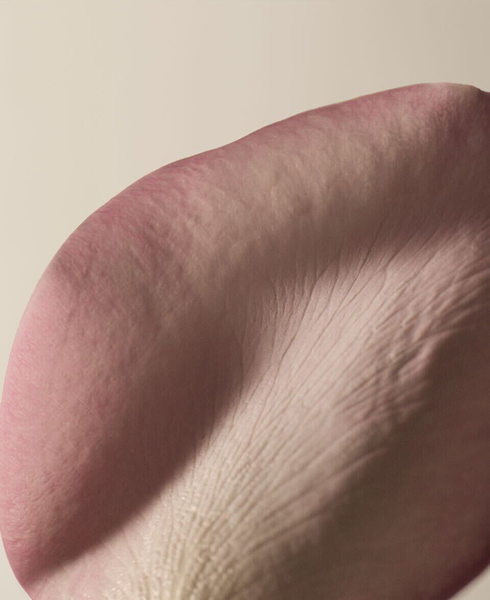 Floral, Spicy, Warm Image