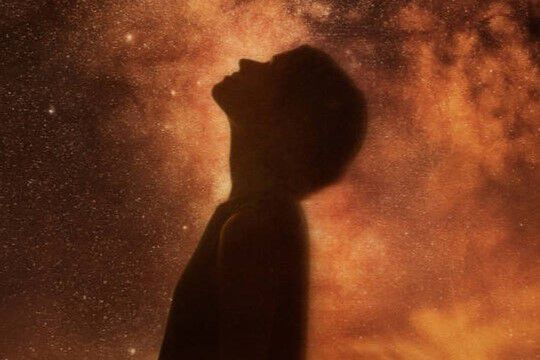 Aesop Category Top Banner